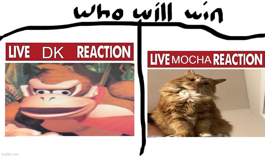 Choose your fighter | image tagged in who will win | made w/ Imgflip meme maker