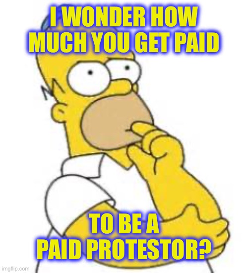 Homer Simpson Hmmmm | I WONDER HOW MUCH YOU GET PAID TO BE A PAID PROTESTOR? | image tagged in homer simpson hmmmm | made w/ Imgflip meme maker
