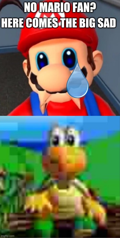 NO MARIO FAN? HERE COMES THE BIG SAD | image tagged in sad mario face,it would be so awesome | made w/ Imgflip meme maker