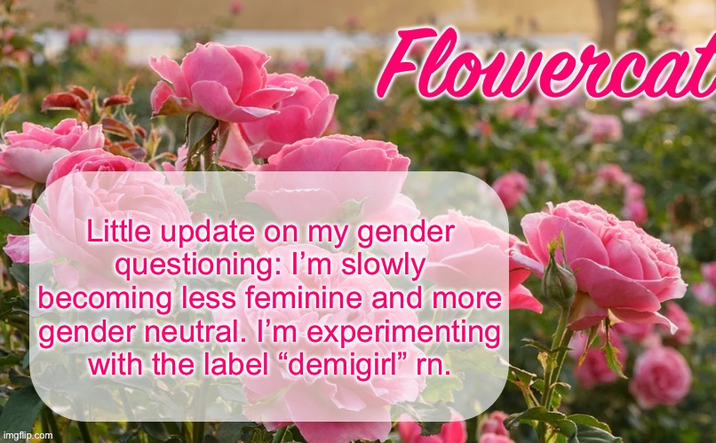 Flowercat template | Little update on my gender questioning: I’m slowly becoming less feminine and more gender neutral. I’m experimenting with the label “demigirl” rn. | image tagged in flowercat template | made w/ Imgflip meme maker