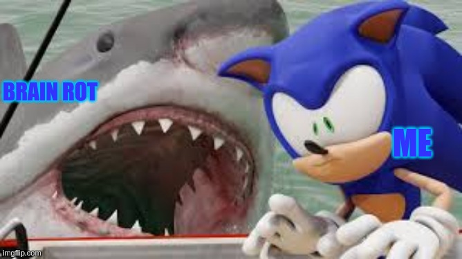 I hate brainrot | BRAIN ROT; ME | image tagged in sonic vs shark | made w/ Imgflip meme maker