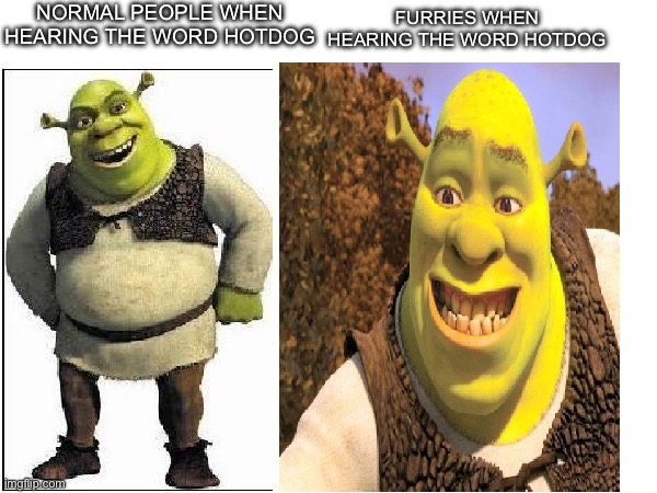 Hot Dog | NORMAL PEOPLE WHEN HEARING THE WORD HOTDOG; FURRIES WHEN HEARING THE WORD HOTDOG | image tagged in normal vs weird,funny,memes,furry,hotdog,dogs | made w/ Imgflip meme maker