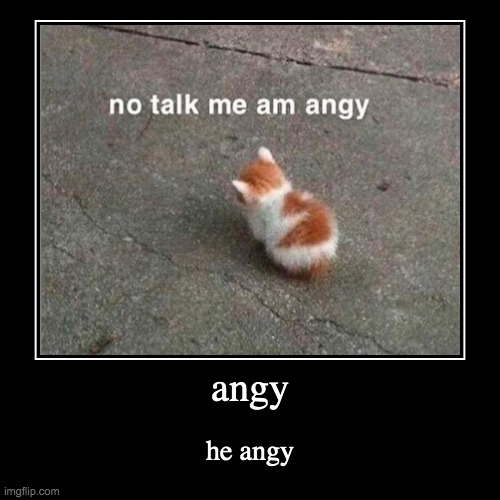 yes | angy | he angy | image tagged in funny,demotivationals | made w/ Imgflip demotivational maker