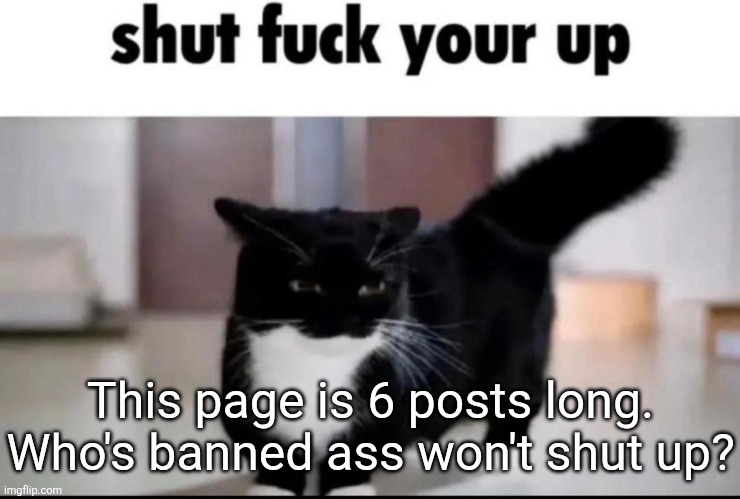 shut fuck your up | This page is 6 posts long. Who's banned ass won't shut up? | image tagged in shut fuck your up | made w/ Imgflip meme maker
