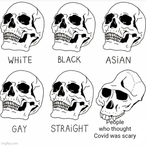 Skull Comparison | People who thought Covid was scary | image tagged in skull comparison | made w/ Imgflip meme maker