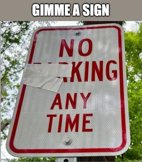 Gimme a sign. No parking sign becomes "No King Any Time".  - funny - | GIMME A SIGN | image tagged in funny,signs,funny sign,king,humor,protests | made w/ Imgflip meme maker