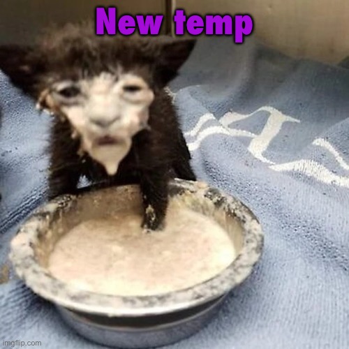 Pie :3 | New temp | image tagged in pie 3 | made w/ Imgflip meme maker