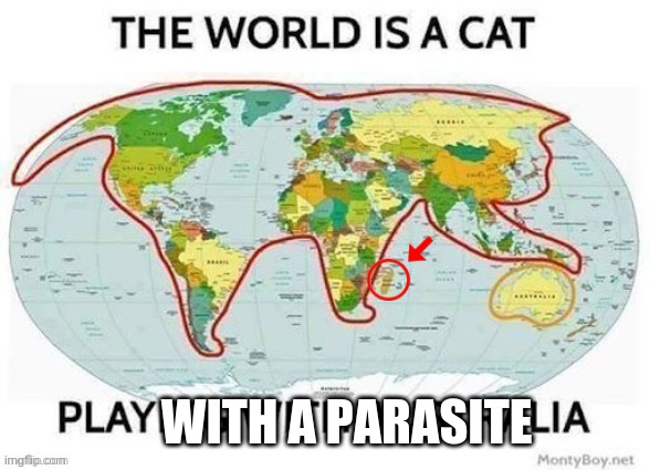 WITH A PARASITE | made w/ Imgflip meme maker