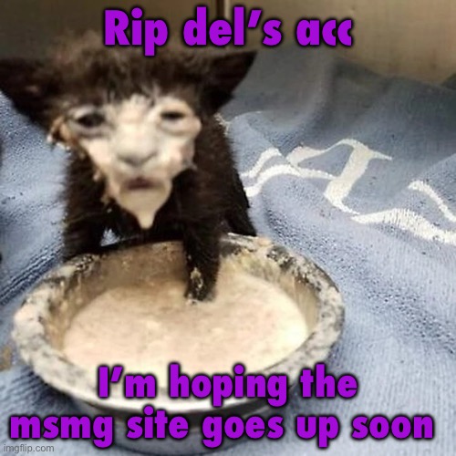 Pie :3 | Rip del’s acc; I’m hoping the msmg site goes up soon | image tagged in pie 3 | made w/ Imgflip meme maker