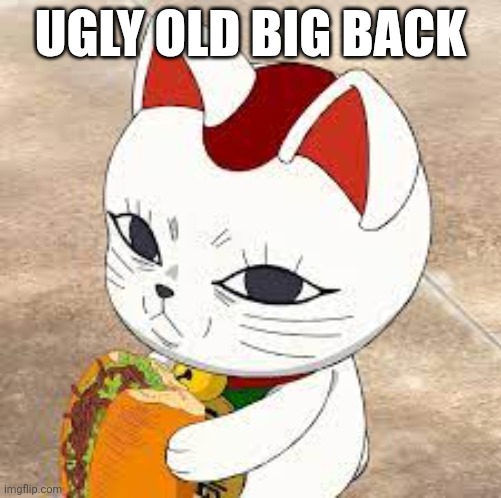 stupid grandma cat | UGLY OLD BIG BACK | image tagged in turbo granny | made w/ Imgflip meme maker