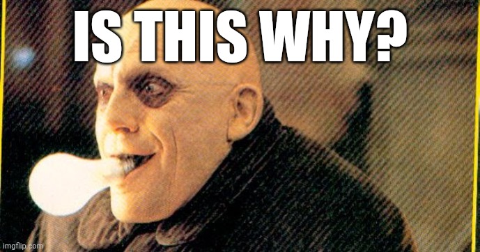 IS THIS WHY? | made w/ Imgflip meme maker