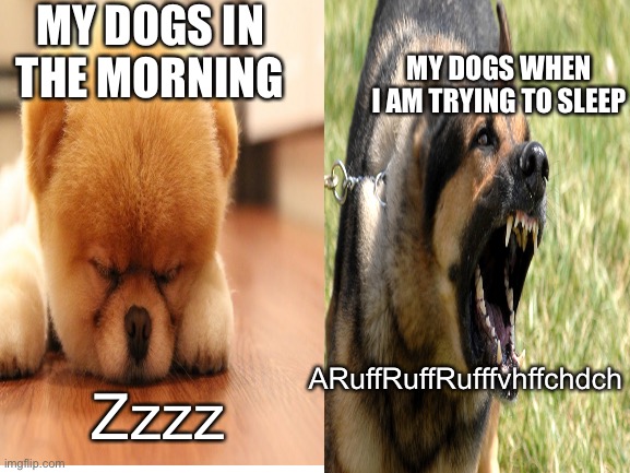 I think this was funnier in my head | MY DOGS IN THE MORNING; MY DOGS WHEN I AM TRYING TO SLEEP; ARuffRuffRufffvhffchdch; Zzzz | image tagged in pets | made w/ Imgflip meme maker