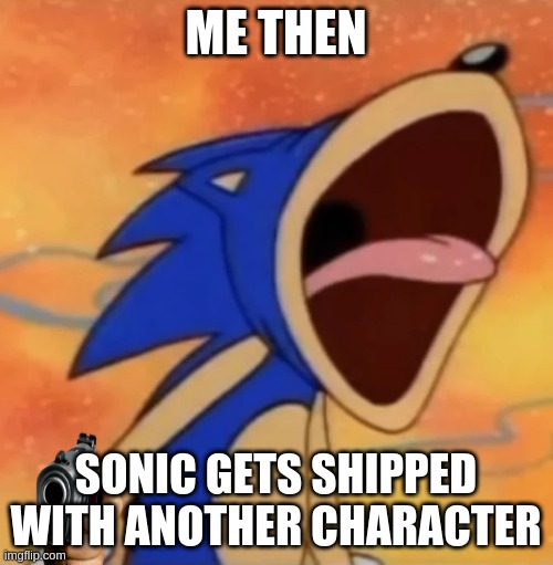 .... | ME THEN; SONIC GETS SHIPPED WITH ANOTHER CHARACTER | image tagged in sonic scream,ship hater,soonicc bom | made w/ Imgflip meme maker