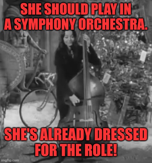 What Morticia Addams should do | SHE SHOULD PLAY IN
A SYMPHONY ORCHESTRA. SHE'S ALREADY DRESSED
FOR THE ROLE! | image tagged in addams family,morticia addams,cello,orchestra,black dress,music | made w/ Imgflip meme maker