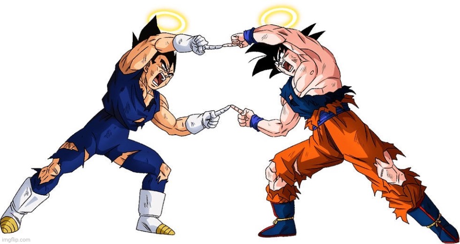 Vegeta Goku Fusion | image tagged in vegeta goku fusion | made w/ Imgflip meme maker