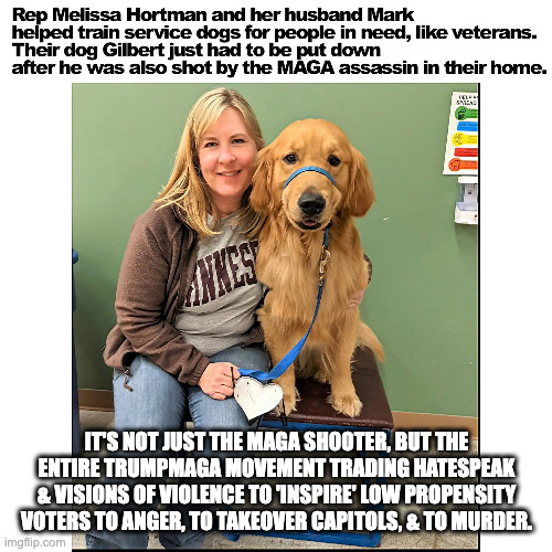 such beautiful people | IT'S NOT JUST THE MAGA SHOOTER, BUT THE ENTIRE TRUMPMAGA MOVEMENT TRADING HATESPEAK & VISIONS OF VIOLENCE TO 'INSPIRE' LOW PROPENSITY VOTERS TO ANGER, TO TAKEOVER CAPITOLS, & TO MURDER. | made w/ Imgflip meme maker