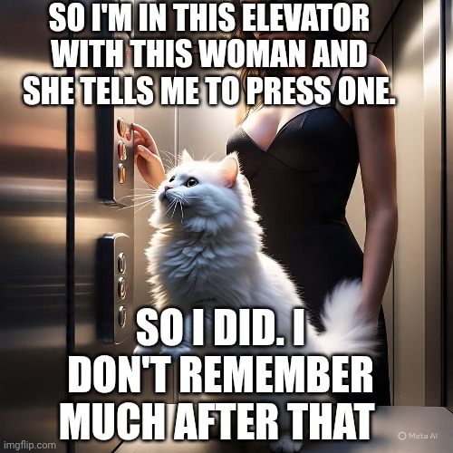 SO I'M IN THIS ELEVATOR WITH THIS WOMAN AND SHE TELLS ME TO PRESS ONE. SO I DID. I DON'T REMEMBER MUCH AFTER THAT | image tagged in smudge that darn cat | made w/ Imgflip meme maker