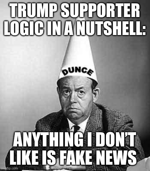 Trumper Logic | TRUMP SUPPORTER LOGIC IN A NUTSHELL:; ANYTHING I DON’T LIKE IS FAKE NEWS | image tagged in dunce | made w/ Imgflip meme maker