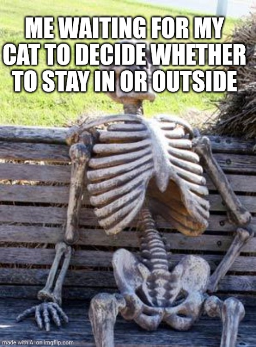 Waiting Skeleton | ME WAITING FOR MY CAT TO DECIDE WHETHER TO STAY IN OR OUTSIDE | image tagged in memes,waiting skeleton | made w/ Imgflip meme maker