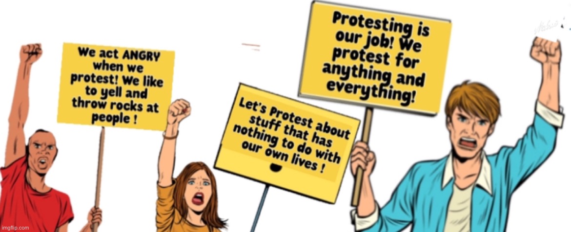 Stupid Protesters ! | image tagged in lori | made w/ Imgflip meme maker