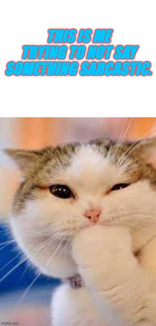Sarcasm | THIS IS ME TRYING TO NOT SAY SOMETHING SARCASTIC. | image tagged in fun | made w/ Imgflip meme maker