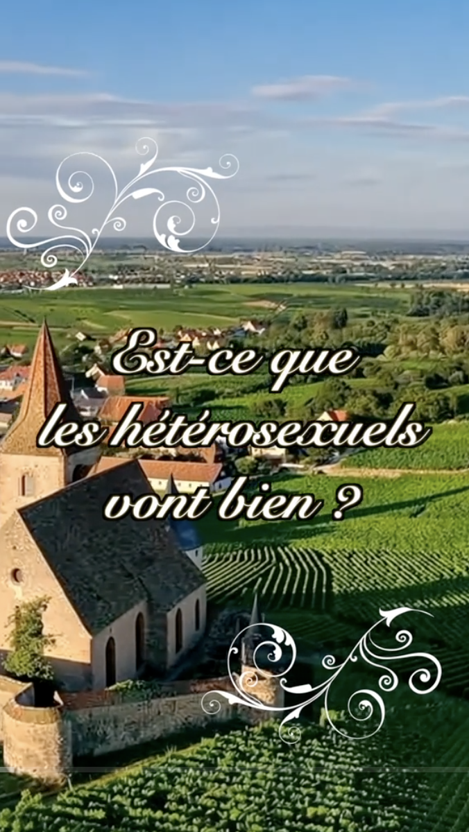 High Quality Est-ce que les hétérosexuels vont bien Blank Meme Template