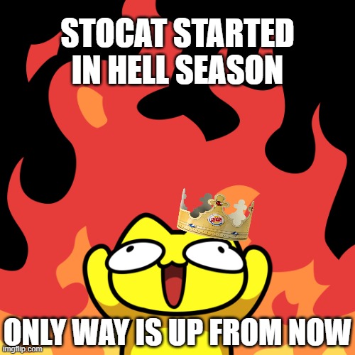 stoopid cats lfg | STOCAT STARTED IN HELL SEASON; ONLY WAY IS UP FROM NOW | image tagged in crypto,cat meme,crypto meme,stoopid cats,altseason | made w/ Imgflip meme maker
