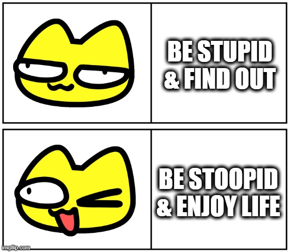 be stoopid with stoopid cats | BE STUPID & FIND OUT; BE STOOPID & ENJOY LIFE | image tagged in be stoopid,stoopid cats,crypto meme,cat meme,funny cat | made w/ Imgflip meme maker