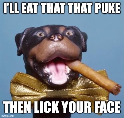 Triumph the Insult Comic Dog | I’LL EAT THAT THAT PUKE THEN LICK YOUR FACE | image tagged in triumph the insult comic dog | made w/ Imgflip meme maker