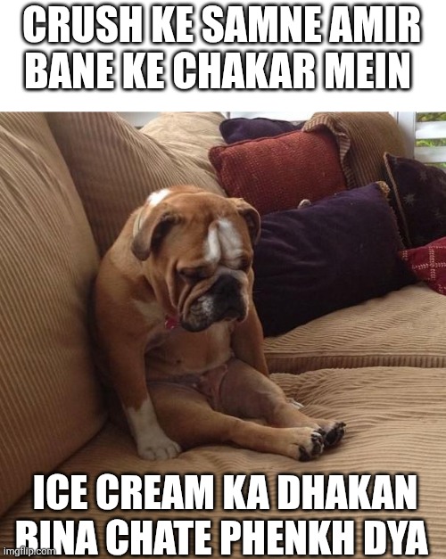 bulldogsad | CRUSH KE SAMNE AMIR BANE KE CHAKAR MEIN; ICE CREAM KA DHAKAN BINA CHATE PHENKH DYA | image tagged in bulldogsad | made w/ Imgflip meme maker