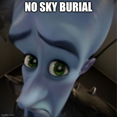 Megamind peeking | NO SKY BURIAL | image tagged in megamind peeking | made w/ Imgflip meme maker
