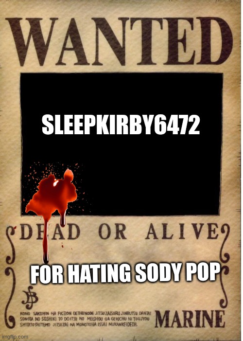 they suck | SLEEPKIRBY6472; FOR HATING SODY POP | image tagged in one piece wanted poster template | made w/ Imgflip meme maker