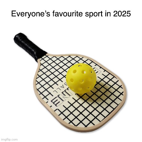 Found this on Facebook | image tagged in funny,pickleball,sports,memes,tennis | made w/ Imgflip meme maker