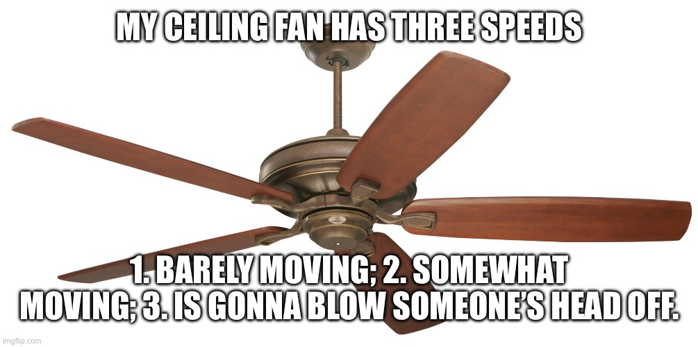 Ceiling fan | MY CEILING FAN HAS THREE SPEEDS; 1. BARELY MOVING; 2. SOMEWHAT MOVING; 3. IS GONNA BLOW SOMEONE’S HEAD OFF. | image tagged in ceiling fan,funny,craziness_all_the_way | made w/ Imgflip meme maker