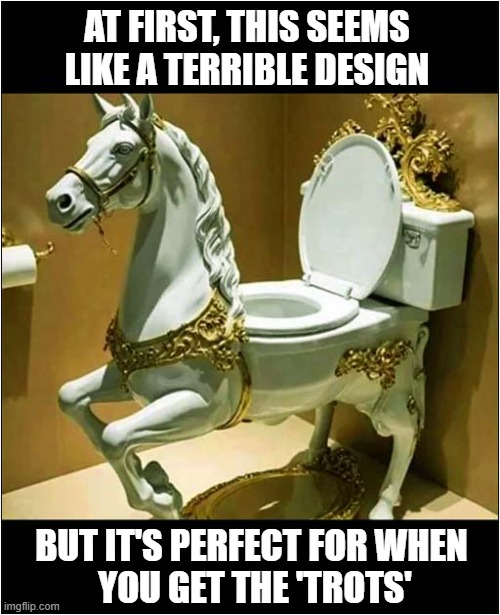 Saddle Up And Hang On Tight ! | AT FIRST, THIS SEEMS LIKE A TERRIBLE DESIGN; BUT IT'S PERFECT FOR WHEN 
YOU GET THE 'TROTS' | image tagged in toilet,horse,diarrhea,hold on,dark humour | made w/ Imgflip meme maker