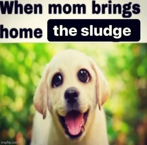 THE SLUDGE | image tagged in the sludge | made w/ Imgflip meme maker