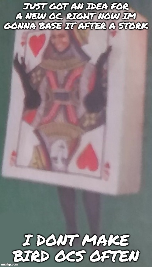 The card lady | JUST GOT AN IDEA FOR A NEW OC. RIGHT NOW IM GONNA BASE IT AFTER A STORK; I DONT MAKE BIRD OCS OFTEN | image tagged in the card lady | made w/ Imgflip meme maker