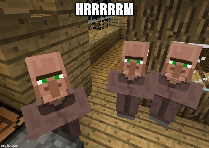 Minecraft Villagers | HRRRRRM | image tagged in minecraft villagers | made w/ Imgflip meme maker