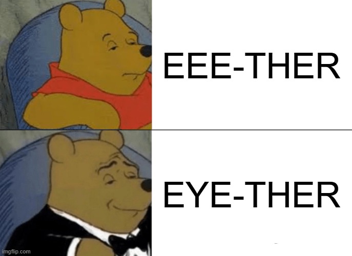 Either It Is Or Either It Isn't | EEE-THER; EYE-THER | image tagged in memes,tuxedo winnie the pooh,english,grammar,pronunciation,play on words | made w/ Imgflip meme maker