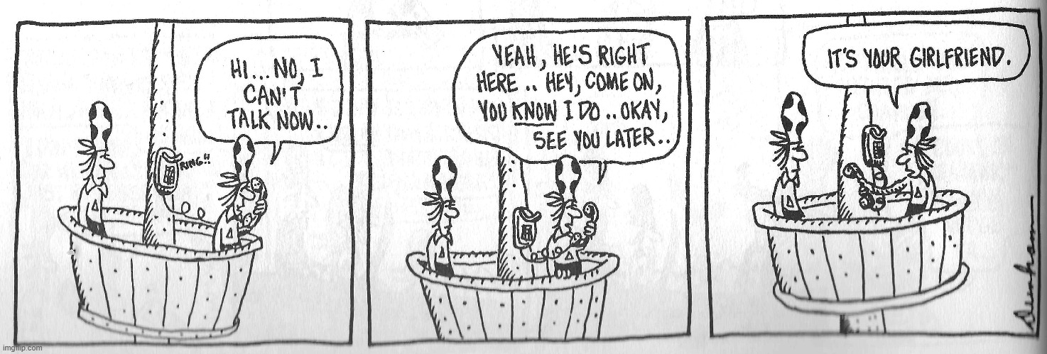 Classic Overboard | image tagged in comics | made w/ Imgflip meme maker
