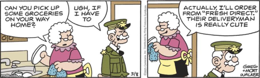Beetle Bailey | image tagged in comics | made w/ Imgflip meme maker