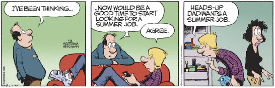 Zits | image tagged in comics | made w/ Imgflip meme maker