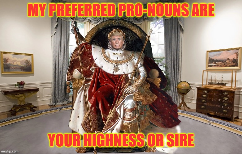 king trump | MY PREFERRED PRO-NOUNS ARE; YOUR HIGHNESS OR SIRE | image tagged in no kings,maga,trump | made w/ Imgflip meme maker