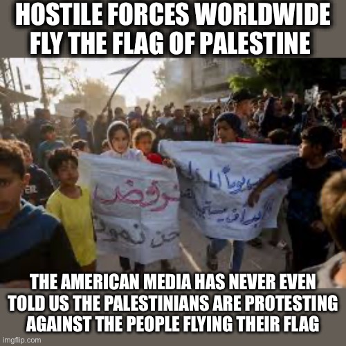 WHY??? | HOSTILE FORCES WORLDWIDE FLY THE FLAG OF PALESTINE; THE AMERICAN MEDIA HAS NEVER EVEN TOLD US THE PALESTINIANS ARE PROTESTING AGAINST THE PEOPLE FLYING THEIR FLAG | image tagged in palestine,israel,iran,yemen,middle east,world war 3 | made w/ Imgflip meme maker