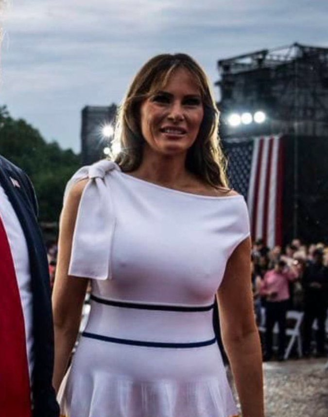 tramp Blank Meme Template