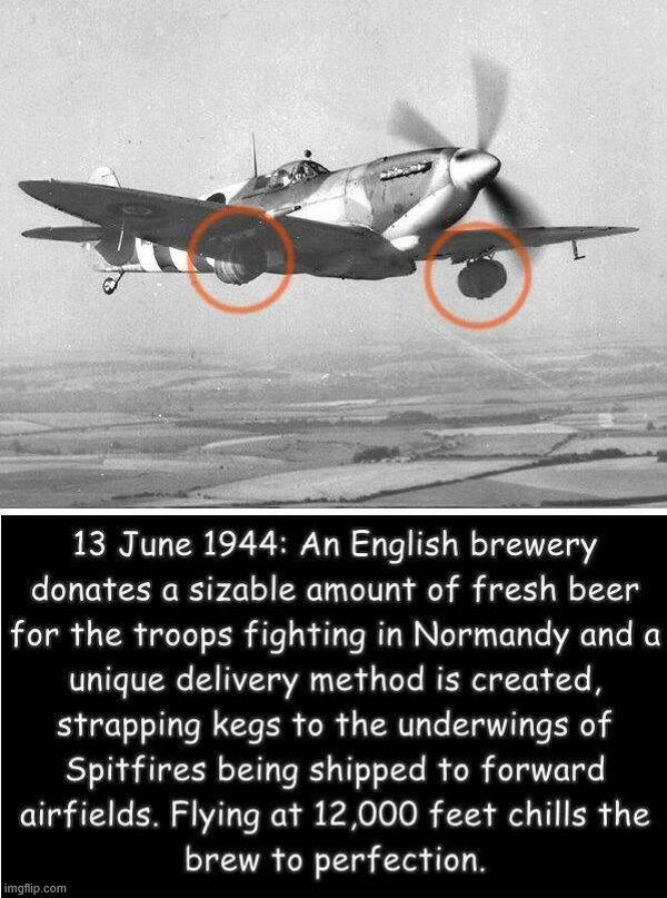 Have a beer on me | image tagged in history memes | made w/ Imgflip meme maker