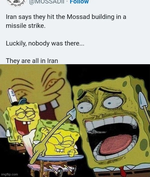 image tagged in spongebob laughing hysterically | made w/ Imgflip meme maker