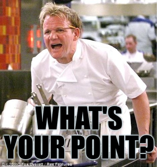 Chef Gordon Ramsay Meme | WHAT'S YOUR POINT? | image tagged in memes,chef gordon ramsay | made w/ Imgflip meme maker