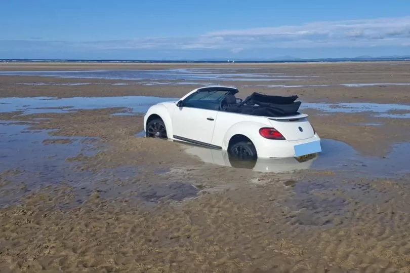Beetle Enjoys Black Sands Beach Blank Meme Template