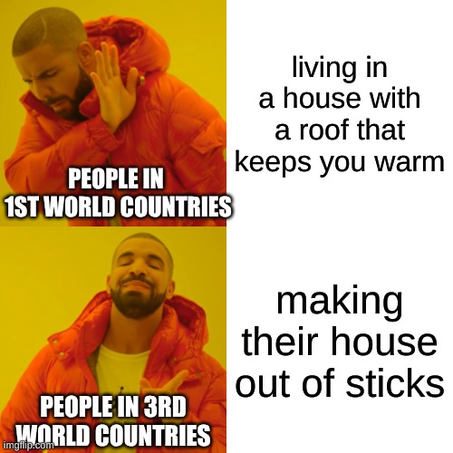 FWPS | living in a house with a roof that keeps you warm; PEOPLE IN  1ST WORLD COUNTRIES; making their house out of sticks; PEOPLE IN 3RD WORLD COUNTRIES | image tagged in memes,drake hotline bling | made w/ Imgflip meme maker